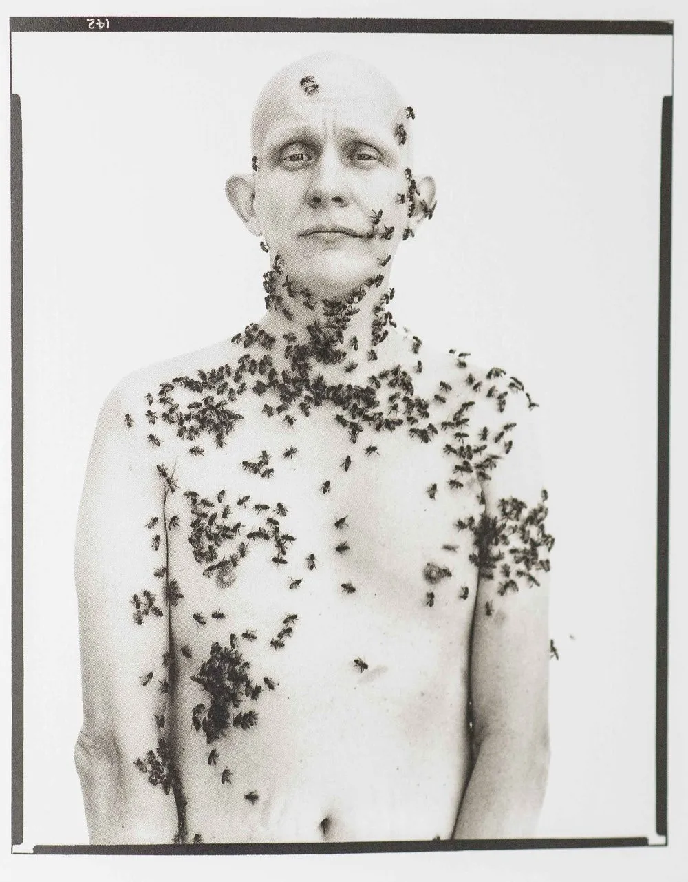Ronald Fischer Beekeeper Davis California Richard Avedon 1981