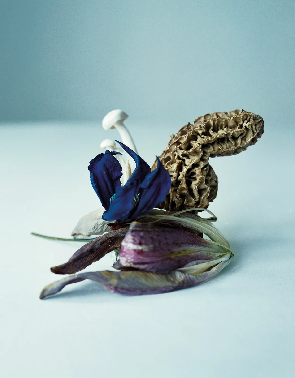 Teddy Iborra Metal Loewe Metalmagazine 8
