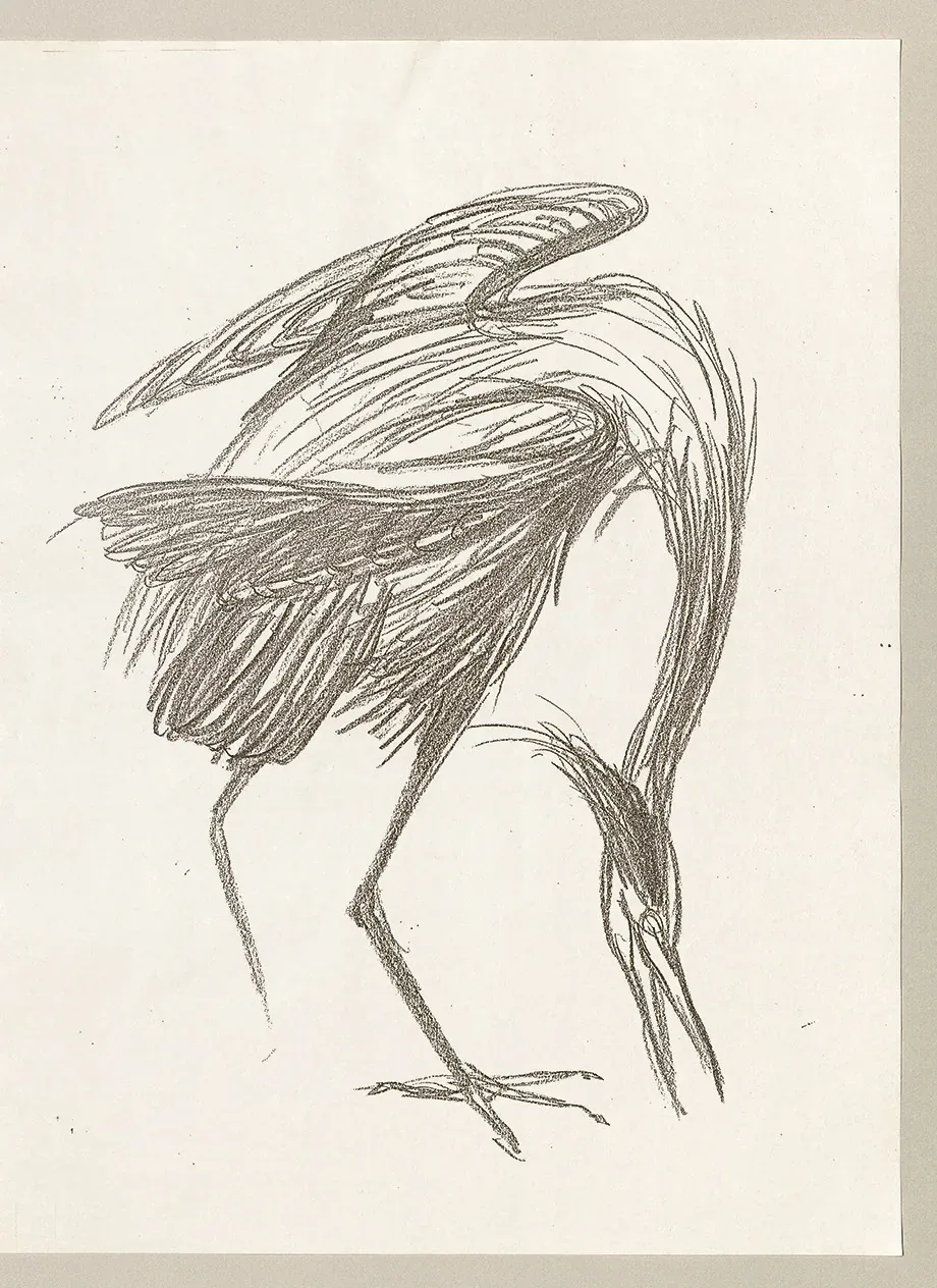 metal-yohji-yamamoto-drawings-02