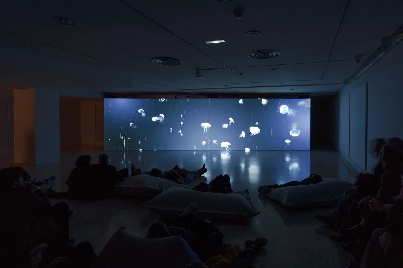 Of Whales Opening Mntb 2023 Jm 02