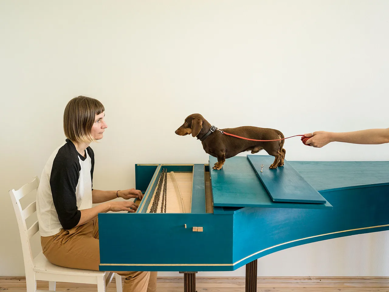 Elina Brotherus Flux Harpsichord Concert Camara Oscura